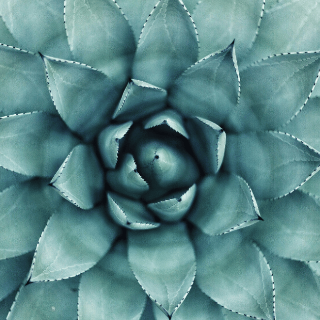 Design-sans-titre-1-aspect-ratio-480-480